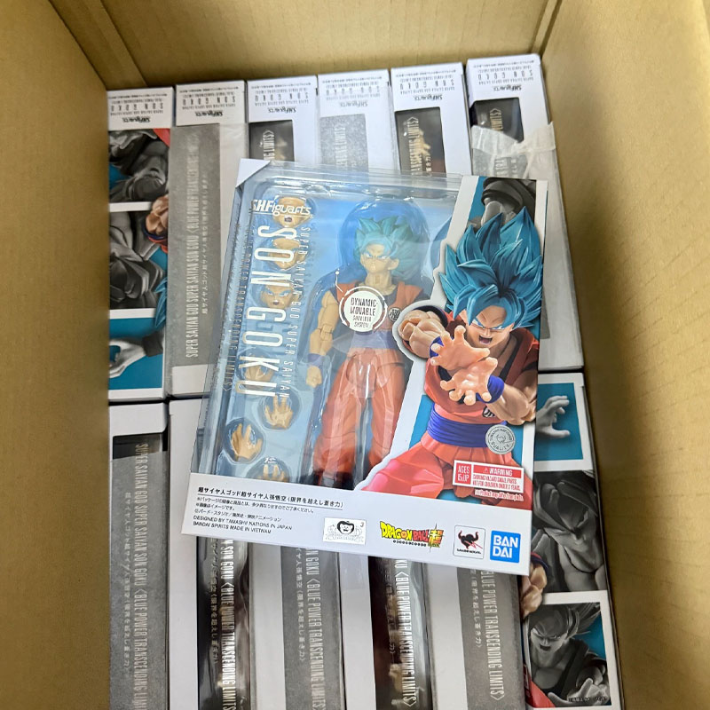Bandai 100% Originale Dragon B - Model Kit Snaa recensione e prezzo